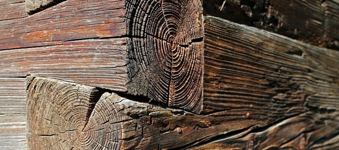 You are currently viewing What is going on at CCDT?