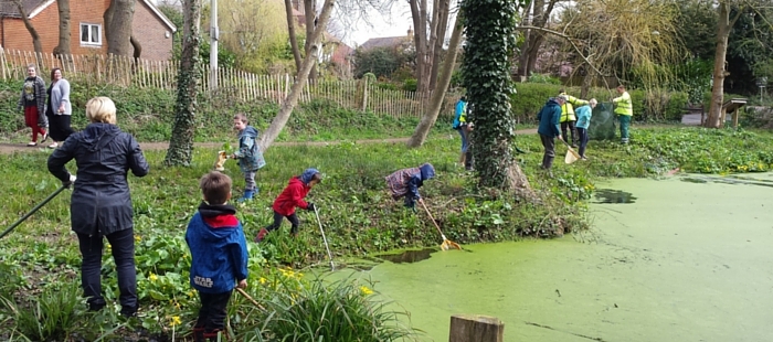 You are currently viewing 4 things everyone should know about Brandy Hole Copse
