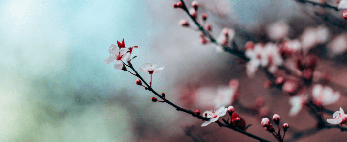 You are currently viewing March Newsletter