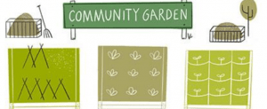 Read more about the article Growing a Stronger Community