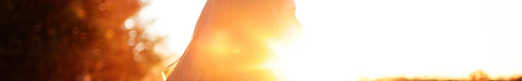 Discover your future